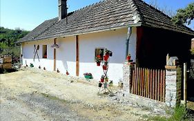 Traditionelles Bauernhaus Flieder Villa Zalaszentgrot Exterior photo