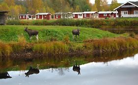 Klaralvens Camping Hotel Stollet Room photo