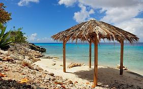 Summer Dreams Ocean Club Hotel Bonaire Exterior photo