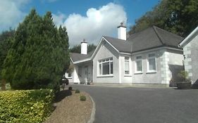 Launard House Kilkenny Exterior photo