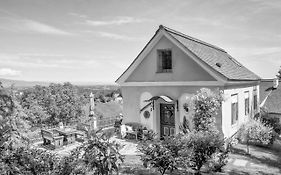 Ferienhaus "Troadkammer" In Der Suedsteiermark Villa Oberhaag Exterior photo