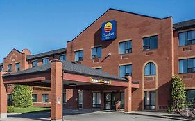 Comfort Inn Port Hope Exterior photo