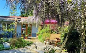 Wisteria Guest House Ganges Exterior photo