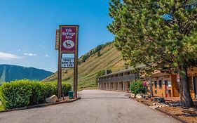 Elk Refuge Inn Jackson Exterior photo