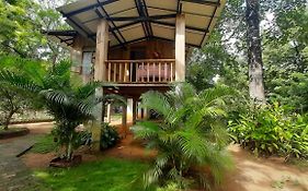 Ruk Sewana Villa Tree House Sigiriya Exterior photo