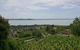 Ferienhaus Peter Villa Balatonfenyves Exterior photo