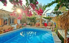 Surfers-Lounge-Dahab Lagoon With Swimming-Pool - Breakfast - Garden - Beduintent - Bbq - Jacuzzi Exterior photo