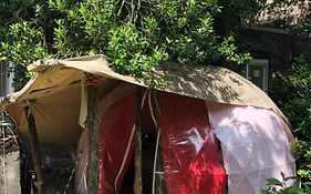 Vintage Dome Igloo Tent, Lange Haven Schiedam Exterior photo