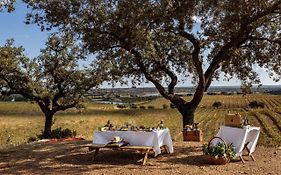 Herdade Do Sobroso Wine & Luxury Boutique Hotel Pedrogao  Exterior photo