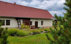 Old Style Cottage Horni Paseka Exterior photo