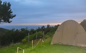 Ocean View Surfcamp Campsite Hotel Wilderness Exterior photo