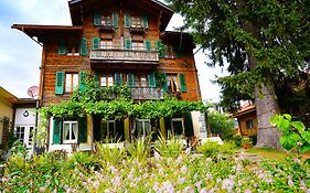 Edelweiss Lodge Wilderswil Exterior photo