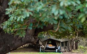 Nkula Camp - Pafuri Walking Safari'S Hotel Makuleke Exterior photo