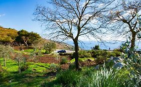 Agriturismo Fattoria Terranova Villa Sant'Agata sui due Golfi Exterior photo