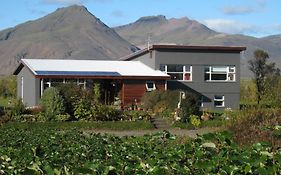 Dilksnes Guesthouse Hofn Exterior photo