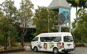 Daintree Wild Bed & Breakfast Exterior photo