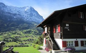 Chalet Aiiny Apartment Grindelwald Exterior photo