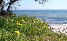 Ystad Camping Exterior photo