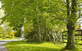 Courtyard Cottages Tralee Room photo