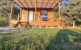 Tiny Mini House Hotel Dalaman Exterior photo