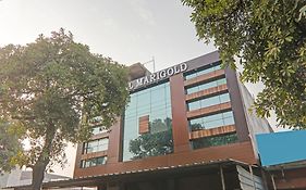 Collection O Hotel Marigold Kanpur Exterior photo