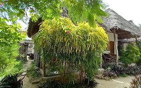 Morningstar Bungalows Zanzibar Matemwe  Exterior photo