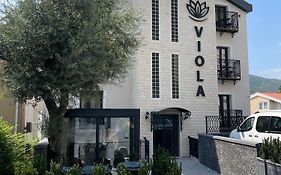 Viola Hotel Budva Exterior photo