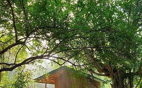 Clay Hut Village Polonnaruwa Exterior photo