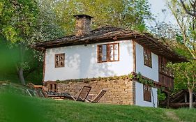 Authentic Bulgarian House - Karashka Villa Apriltsi  Exterior photo