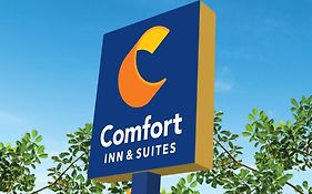 Comfort Inn & Suites Houston Exterior photo