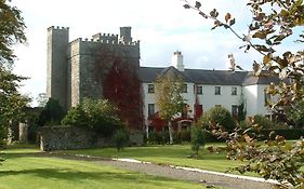 Barberstown Castle Hotel Straffan Exterior photo