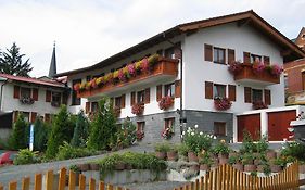 Landhotel Gasthof Zwota Klingenthal Exterior photo