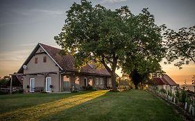 Winzarei, Weingut Tement Villa Berghausen Exterior photo