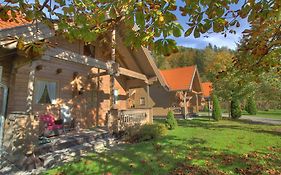 Mountain Inn Chalets & Apartments Walchsee Exterior photo