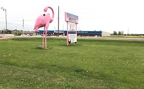 Flamingo Motel Marshalltown Exterior photo