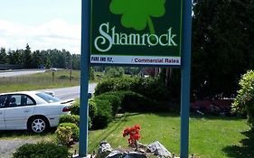 Shamrock Motel Bellingham Exterior photo