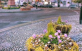 The Castle Inn Usk Exterior photo