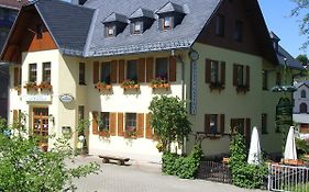 Gasthof Zum Doehlerwald Hotel Klingenthal Exterior photo