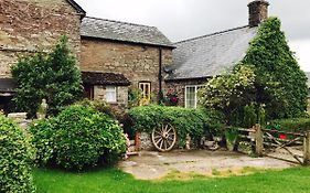 The Draen Bed And Breakfast Brecon Exterior photo