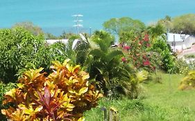 B&B Plage Des Raisiniers La Trinite Exterior photo