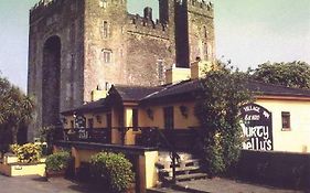 Bunratty Shannon Shamrock Hotel Exterior photo