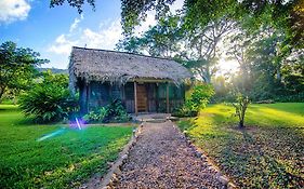 Bocawina Rainforest Resort Hopkins Exterior photo