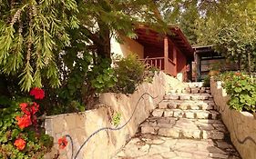 Dream Time Villa Amirim Exterior photo