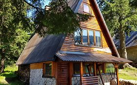 Snow Angel Jahorina Villa Exterior photo