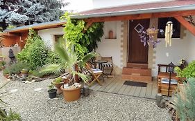 Sophia Cozy Self Catering Apartment Dolni Brezany Exterior photo