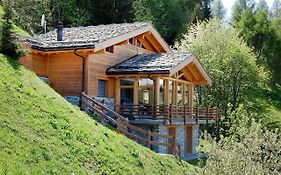 Chalet Chalet Arvine By Interhome Nendaz Exterior photo