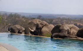 Mbizi Bush Lodge Grietjie Game Reserve Exterior photo