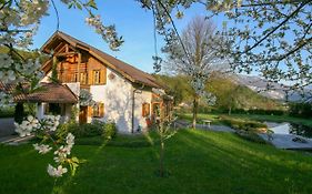 Villa Anna Bad Goisern Am Hallstaettersee Exterior photo