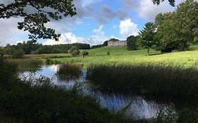 Curraghchase Cottage Kilcornan Exterior photo