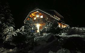 Chalet Styria Villa Donnersbachwald Exterior photo